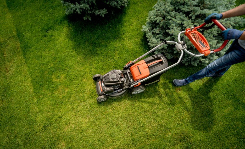 Gardening & Estate Management