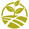 logo-gold